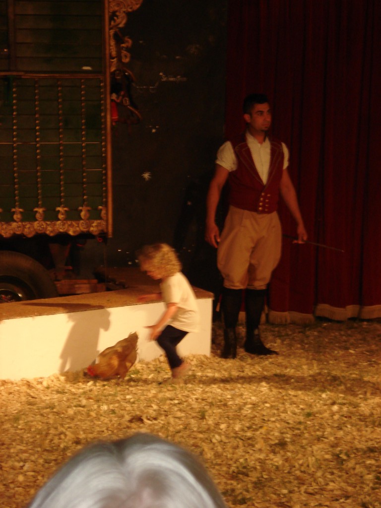 Giffords circus 008