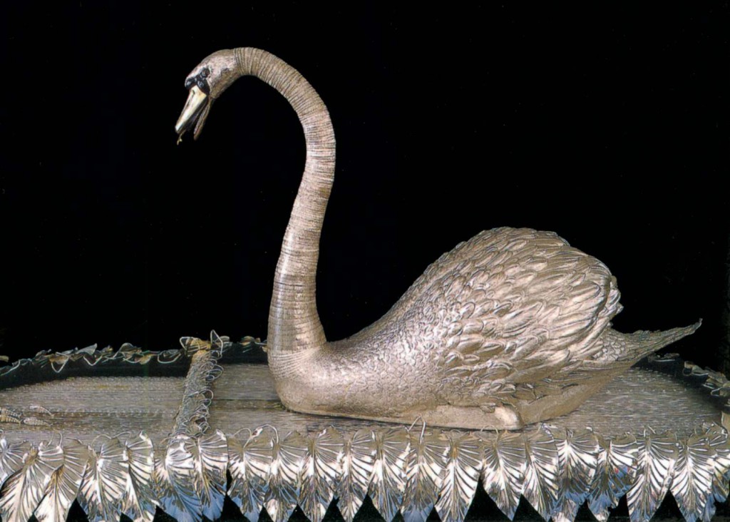 Silver swan