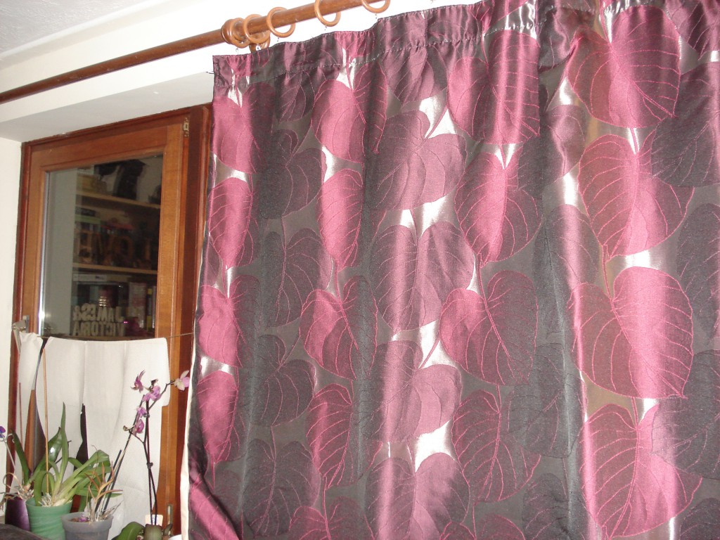 Autumn and curtains 040