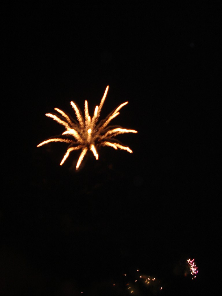 Fireworks & Jewelry 041