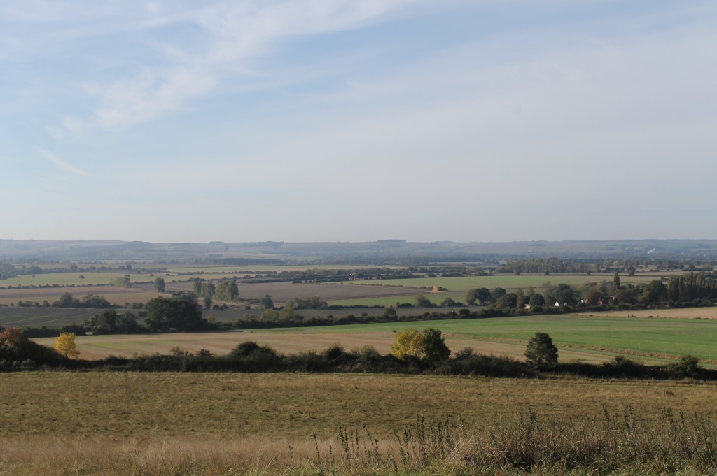 Wittenham clumps 023