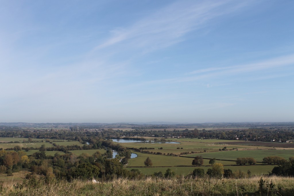 Wittenham clumps 029