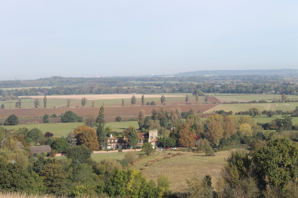 Wittenham clumps 035