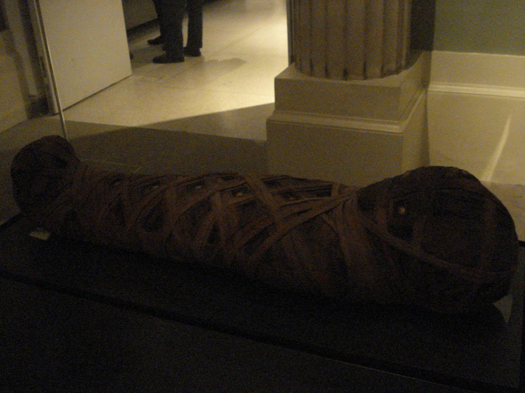 Ashmolean Egypt 038