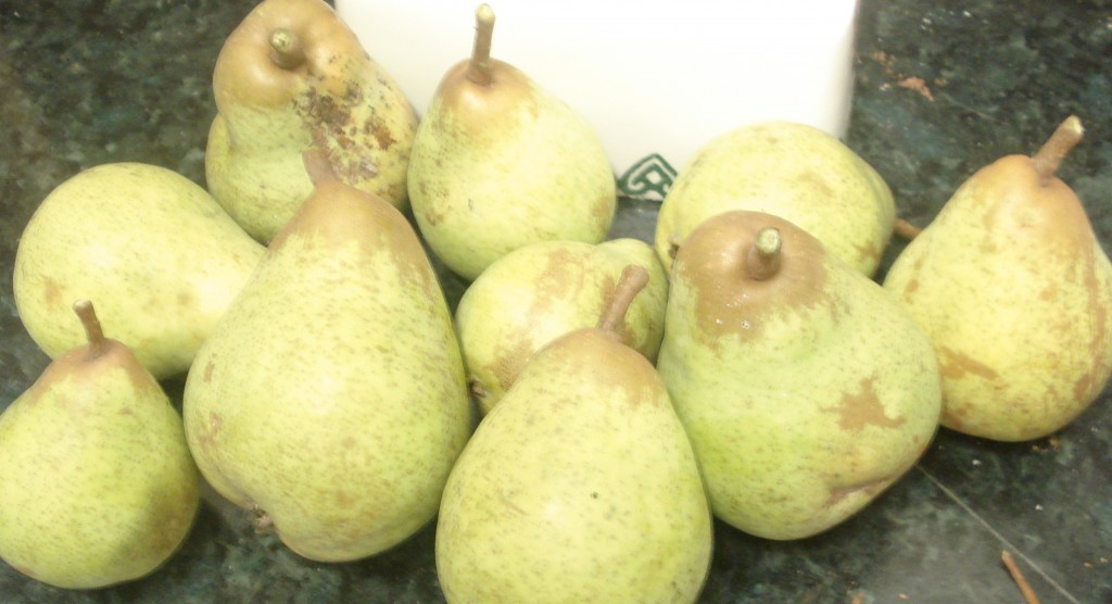 pears 006
