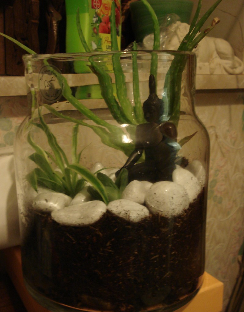 Terrarium from the side