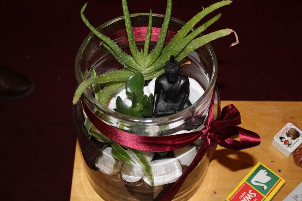 Terrarium with ribbon