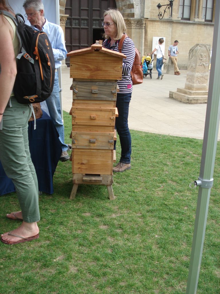 warre hive