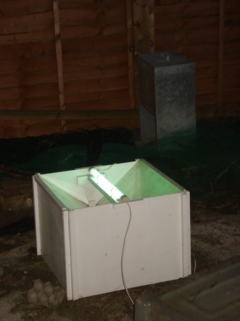 Moth trap on